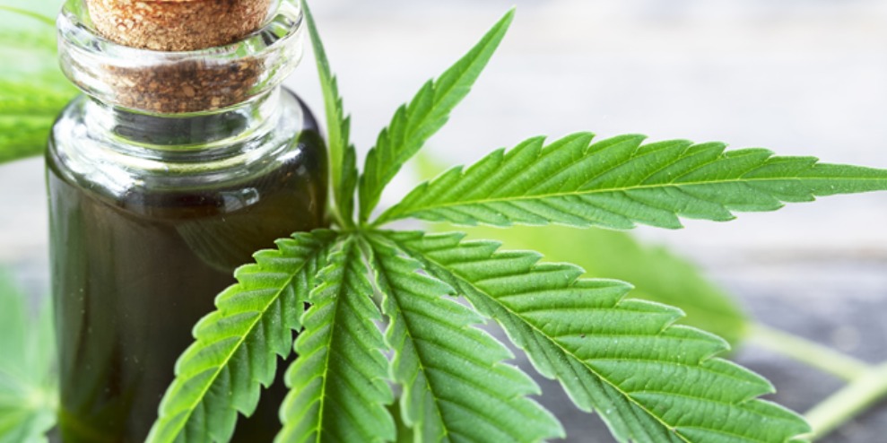 Gestiones defensoriales posibilitan que el Estado autorice la importación de cannabis medicinal para el tratamiento de una niña