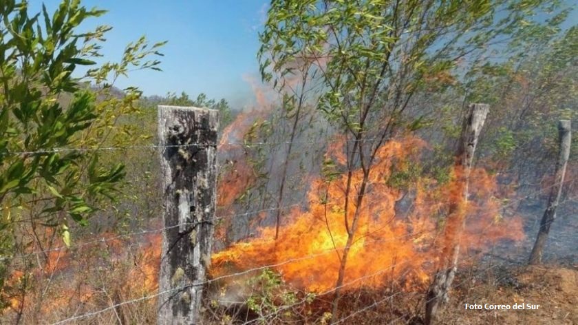 Defensoría del Pueblo exhorta a las autoridades municipales y departamentales atender las necesidades de 40 familias afectadas por los incendios forestales en la Serranía del Iñao